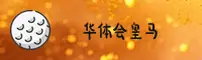 使用指南与常见问题